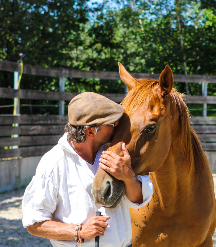 Accompagnement santé