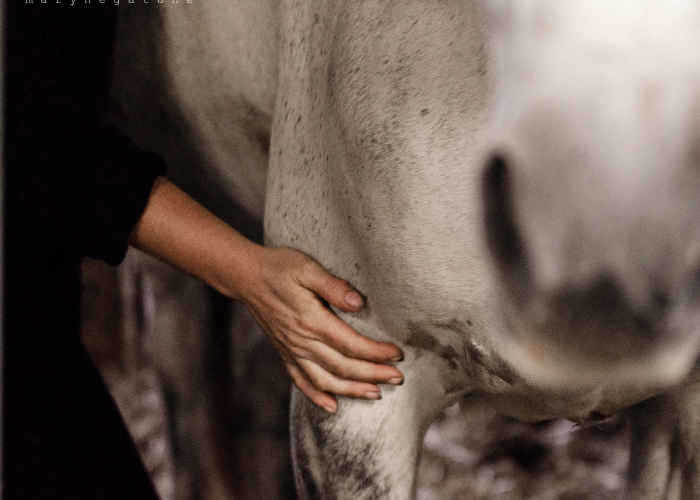 accompagnement santé 1