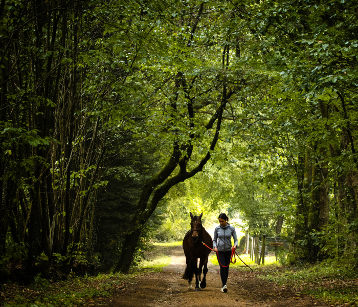 Accompagnement devloppement personnel 1