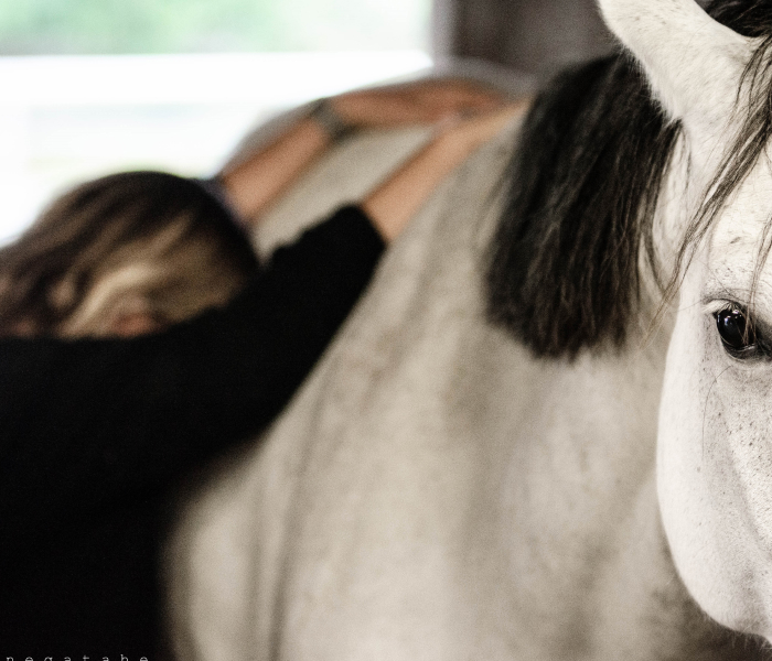 Accompagnement devloppement personnel 2