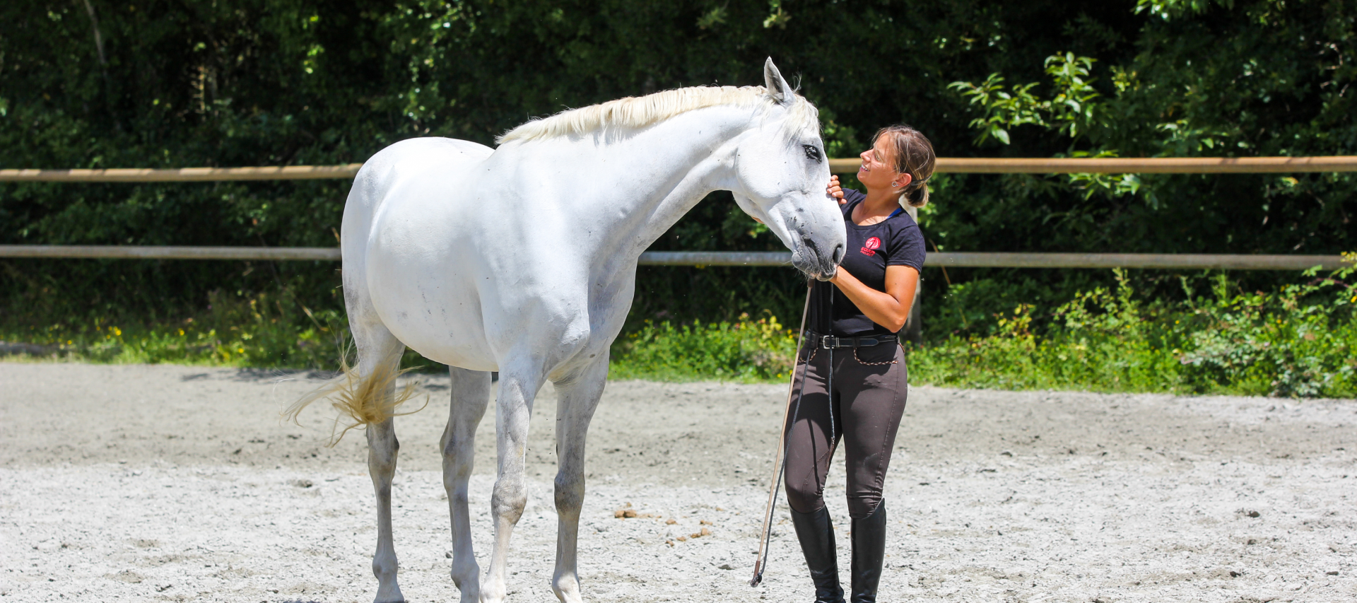 Relation homme cheval