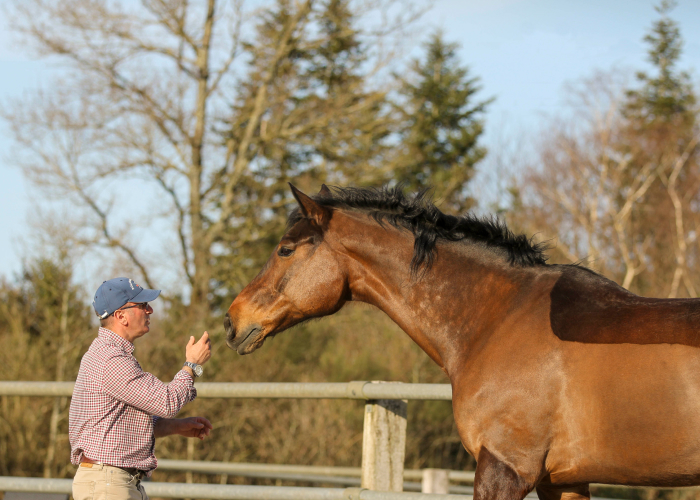 Développement personnel par Equus Project 1