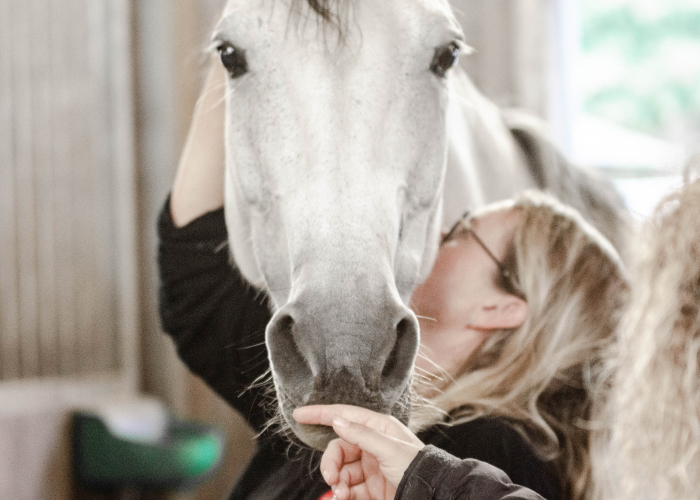 Développement personnel par Equus Project 3