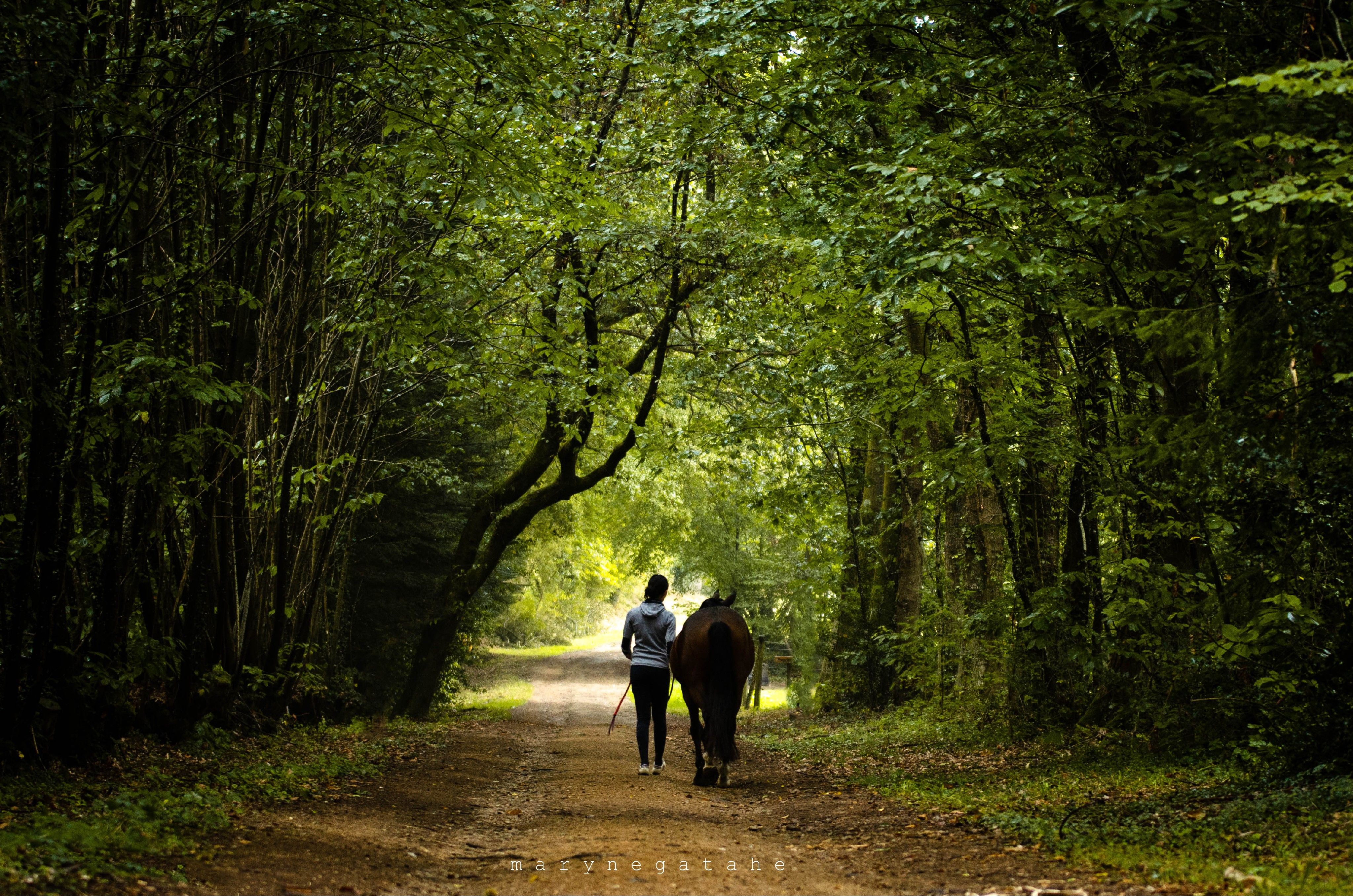 blockValue.4ab717c1-8936-4677-89f1-2a67407b55c3.img_alt