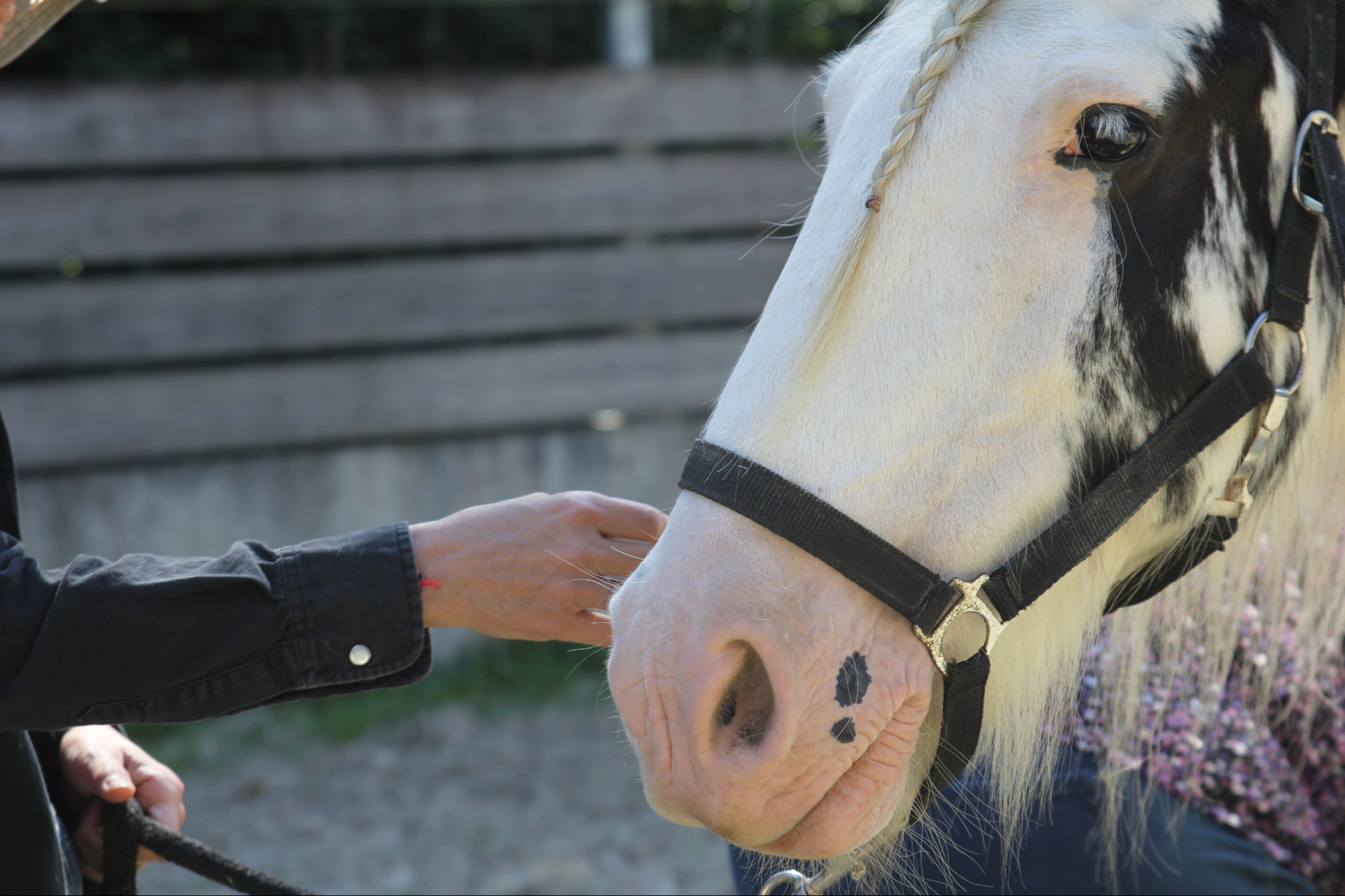 blockValue.f44b2273-4b8d-4ec0-9c81-32cb68c428ce.img_alt