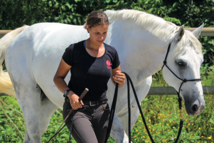 Événement Formation modulaire Savoirs 3 - BFE EE1