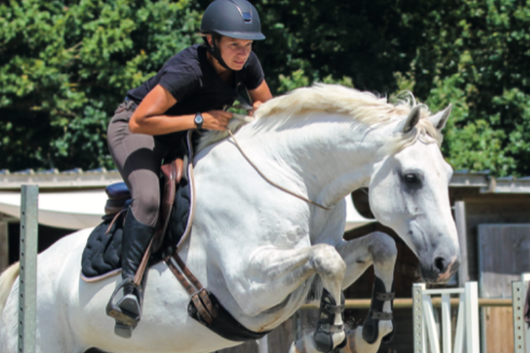 Événement Formation modulaire Savoirs 4 - BFE EE2