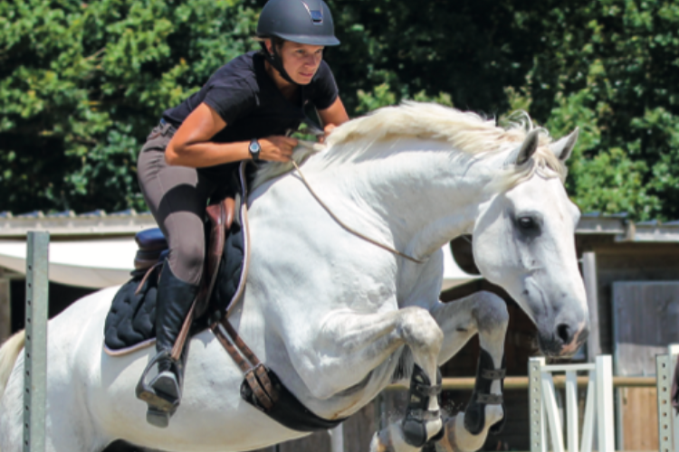 Événement Formation modulaire Savoirs 5 - BFE EE2